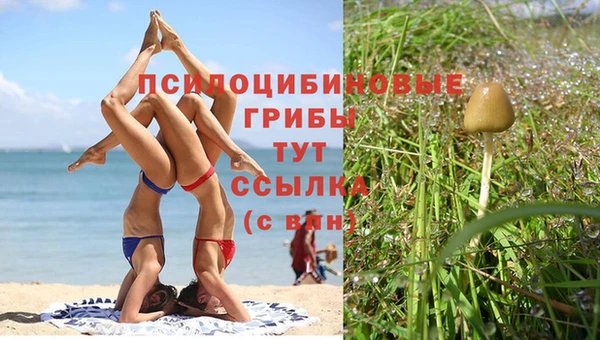 прущий лед Белокуриха