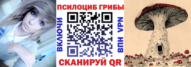 Псилоцибиновые грибы GOLDEN TEACHER гидра как зайти Гаврилов-Ям наркота