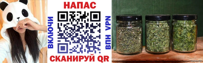 купить закладку  Гаврилов-Ям  Бошки марихуана Ganja 